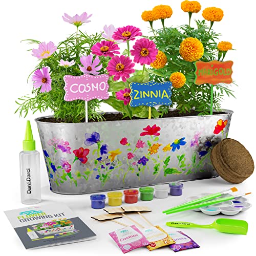 Dan&Darci Flower Grow Kit