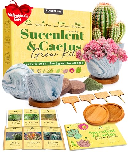HOME GROWN Cactus Grow Kit