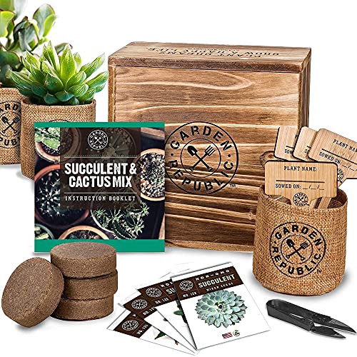 GARDEN REPUBLIC Cactus Starter Kit
