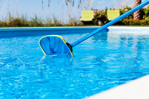 Pool skimmer net Leaves being gathered in a skimmer net found in a swimming pool