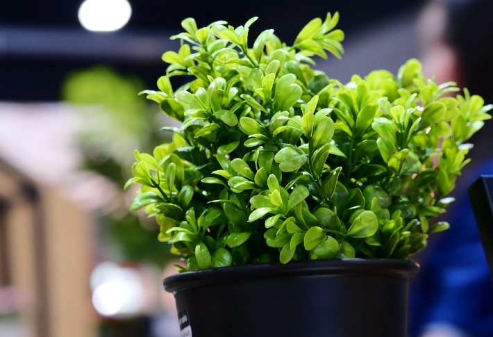 top-rated artificial shrubs in 2024