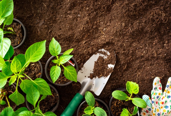 highly rated garden shovel