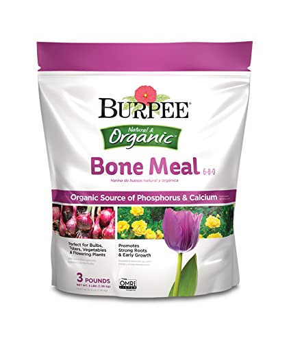 Burpee Vegetable Fertilizer