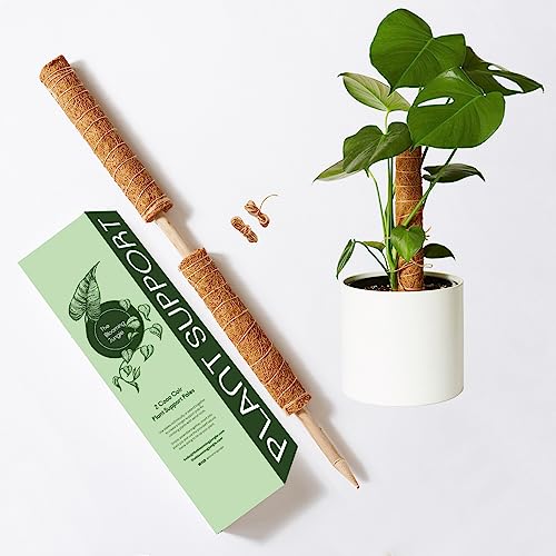 Blooming Jungle Moss Pole