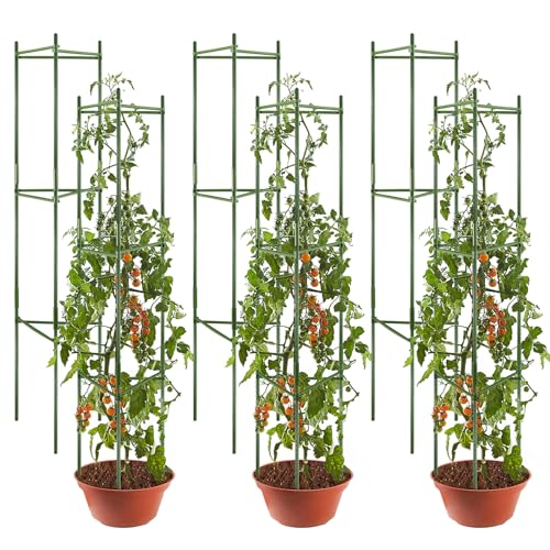 Flowlamp Tomato Support Cage