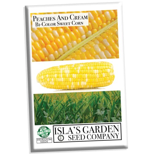 Isla’s Garden Bicolor Corn Seeds