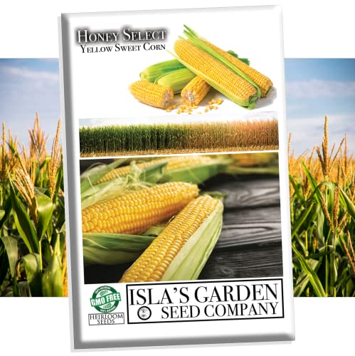 Isla’s Garden Corn Hybrid Seeds