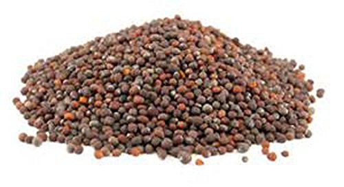 Country Creek LLC Broccoli Seed