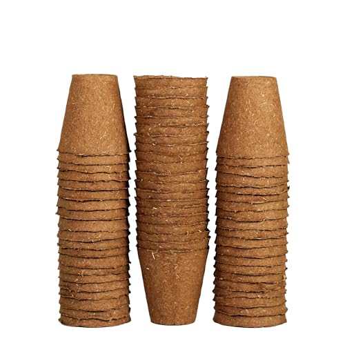 Daniel's Peat Pots