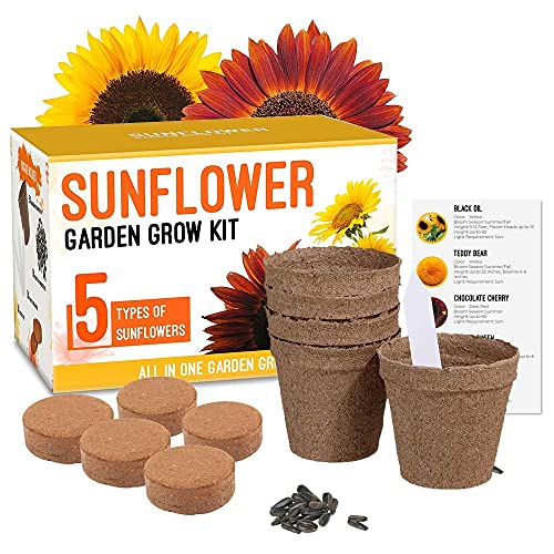 Wellness Tree Sunflower Grow Kit
