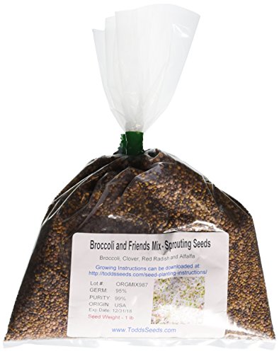 Todd's Broccoli Seeds
