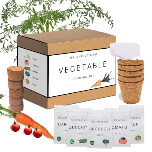 Mr. Sprout and Co. Vegetable Garden Kit