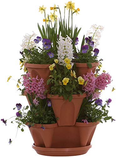 Nancy Janes Terracotta Planter Vertical Garden