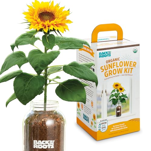 Back to the Roots Sunflower Grow Kit