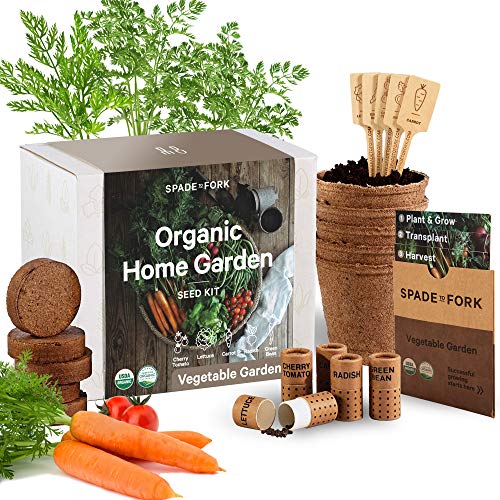 Spade to Fork Indoor Garden Kit