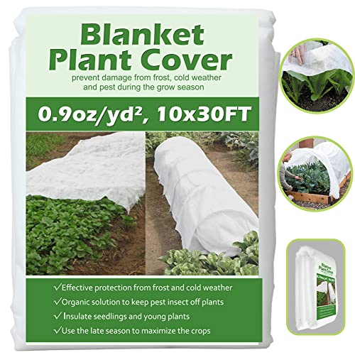 Valibe Plant Cover