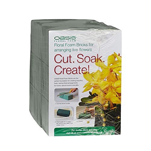Oasis Floral Foam Bricks