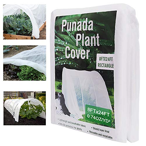 Punada Plant Cover