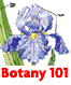 Botany 101